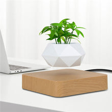 Load image into Gallery viewer, Air Bonsai The Levitating Mindfulness Suspension Pot Light