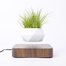 Load image into Gallery viewer, Air Bonsai The Levitating Mindfulness Suspension Pot